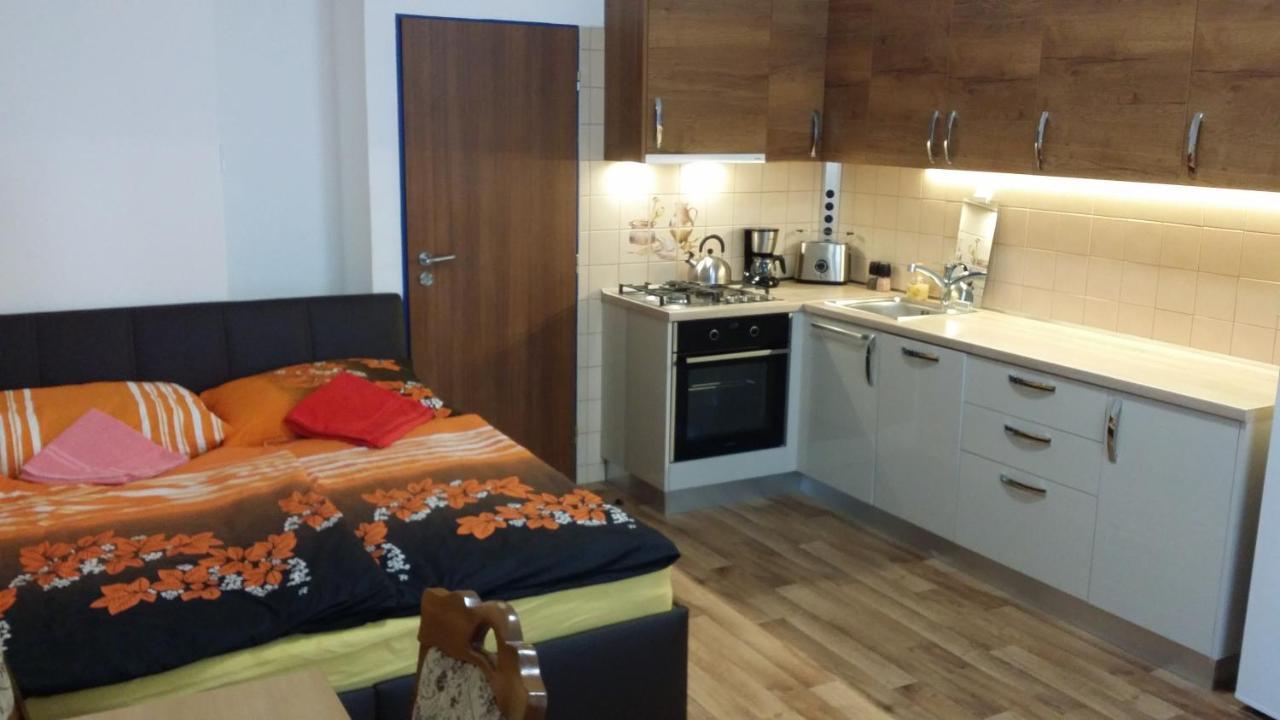 Room&kitchen Next To Castle Pensjonat Praga